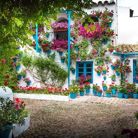 Anita's Place Apartment *